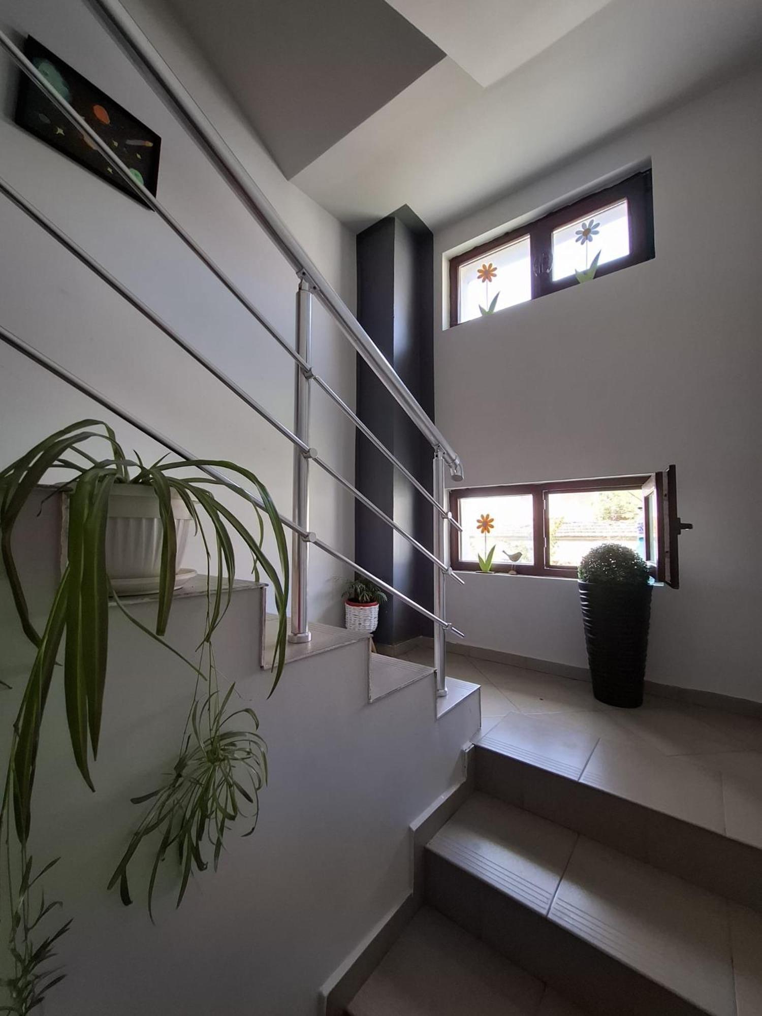 Guest Rooms Simona 2 Opanets Εξωτερικό φωτογραφία